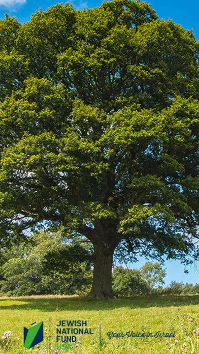 Ảnh chụp màn hình của Plant Trees: JNF - USA
