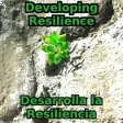 Develop Your Resilience