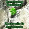 Develop Your Resilience