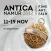 Antica 2017