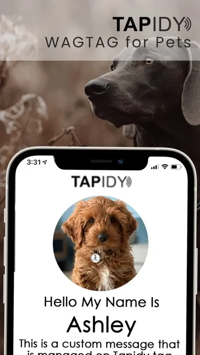 Tangkapan skrin TAPIDY