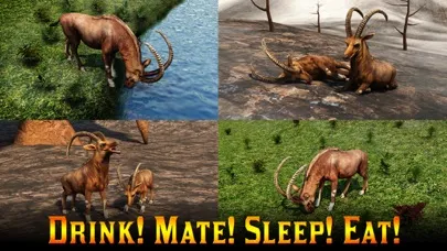 Adventures of Mountain Goat 3D Screenshots