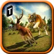Adventures of Wild Tiger Adventures of Wild Tiger