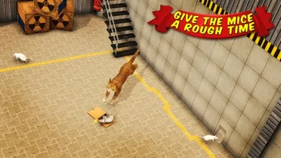 Angry Cat Vs. Mouse 2016應用截圖