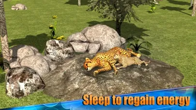 Angry Cheetah Simulator 3D স্ক্রিনশট
