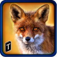 Wild Fox Adventures 2016 Wild Fox Adventures 2016