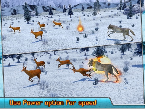 Capturas de tela do Angry Wolf Simulator 3D iPad 