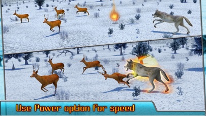 Capturas de tela do Angry Wolf Simulator 3D