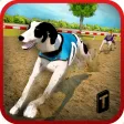 Dog Race & Stunts 2016 Dog Race & Stunts 2016
