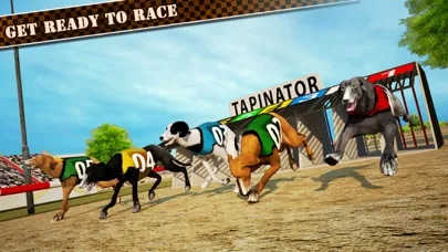 Dog Race & Stunts 2016 Screenshots