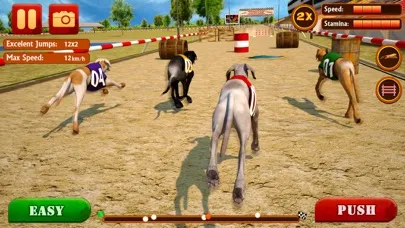 Dog Race & Stunts 2016 Screenshots