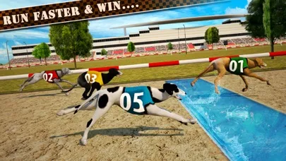 Dog Race & Stunts 2016 Screenshots