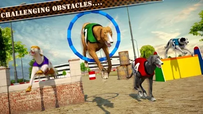 Dog Race & Stunts 2016 Screenshots