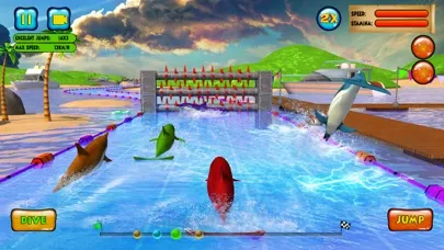 Captures d'écran de Dolphin Racing 3D