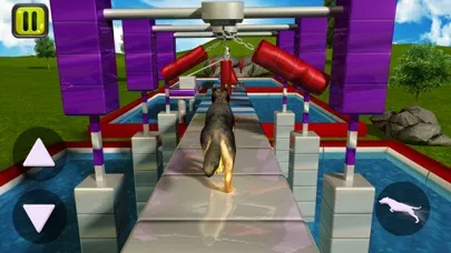 Stunt Dog Simulator 3D应用截图
