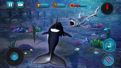 Killer Whale Beach Attack 3D 스크린샷
