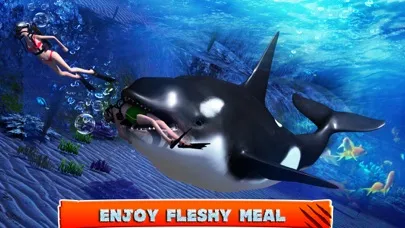 Killer Whale Beach Attack 3D 스크린샷