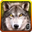 Wolf Life Simulation 2017 Wolf Life Simulation 2017