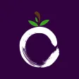 Vibe Foods Rewards Vibe Foods Rewards