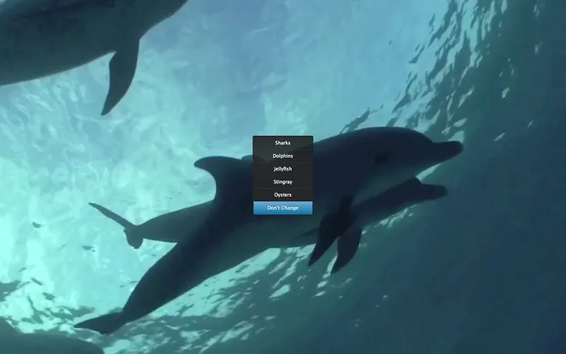 Real Aquarium HD Free應用截圖