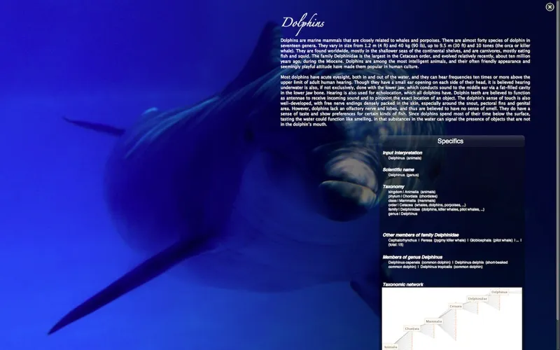 Real Aquarium HD Free應用截圖