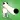 Long Nose Dog