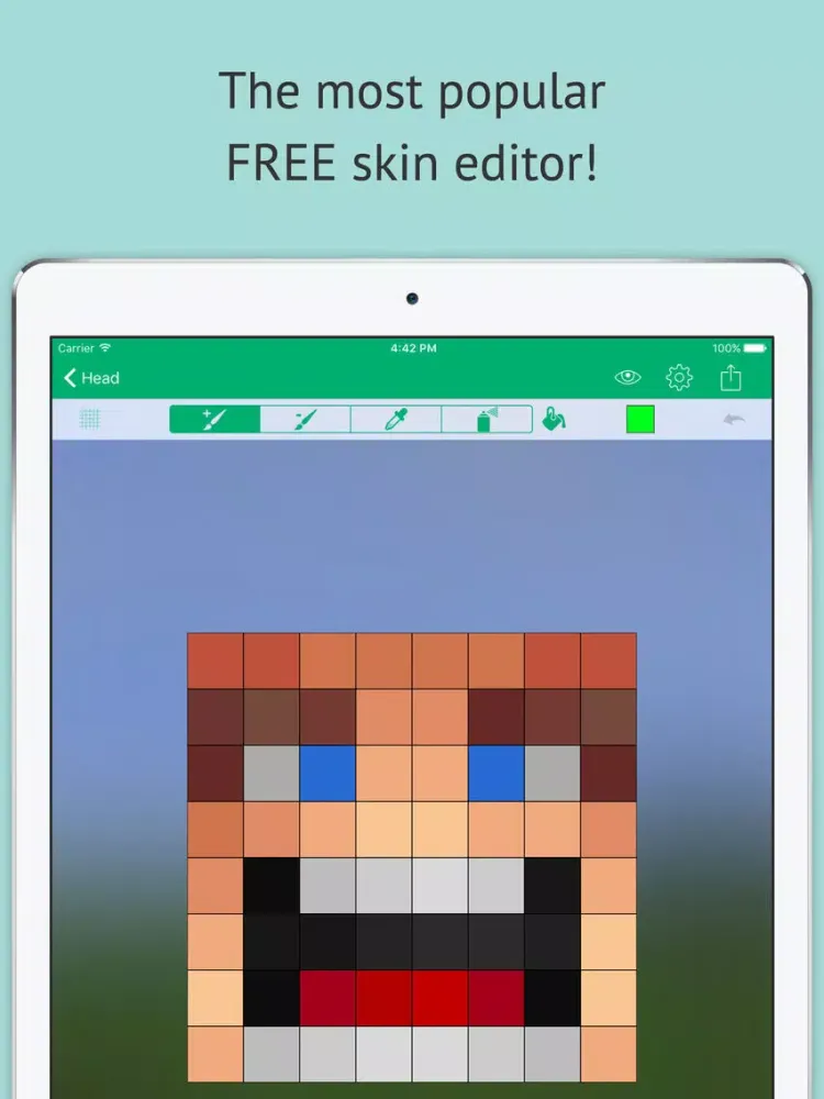 Skin Editor: Minecraft Creator Edition iPad  Screenshots