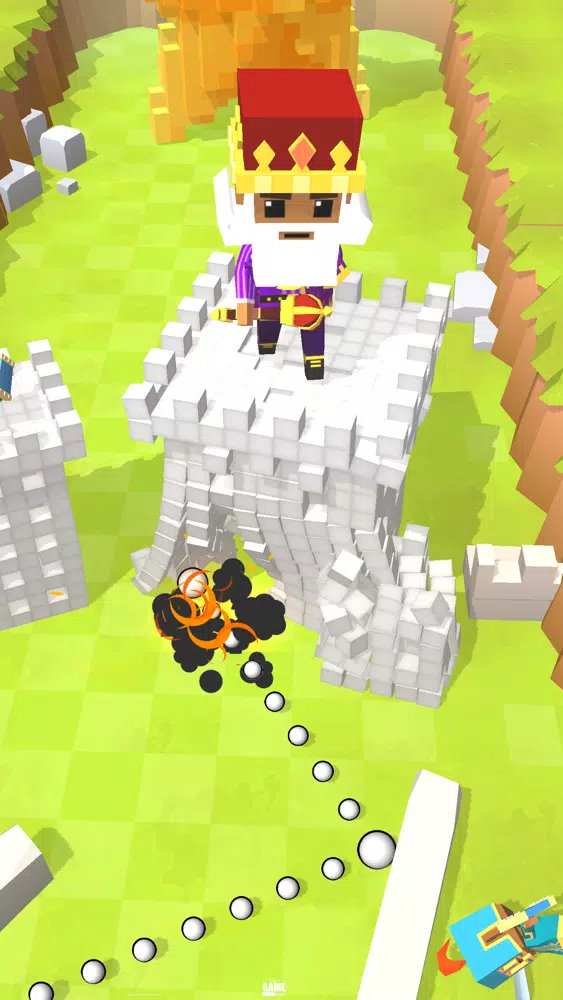 Captures d'écran de Tower Blast 3D
