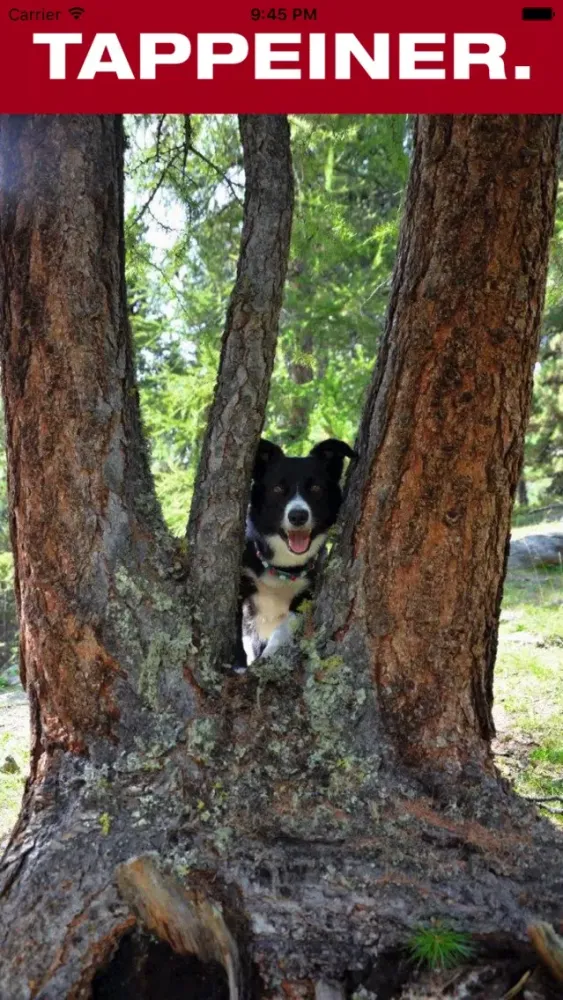 Скриншоты Hundewandern