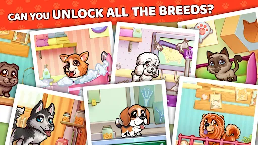 Pet Shop Fever: Animal Hotel Screenshots