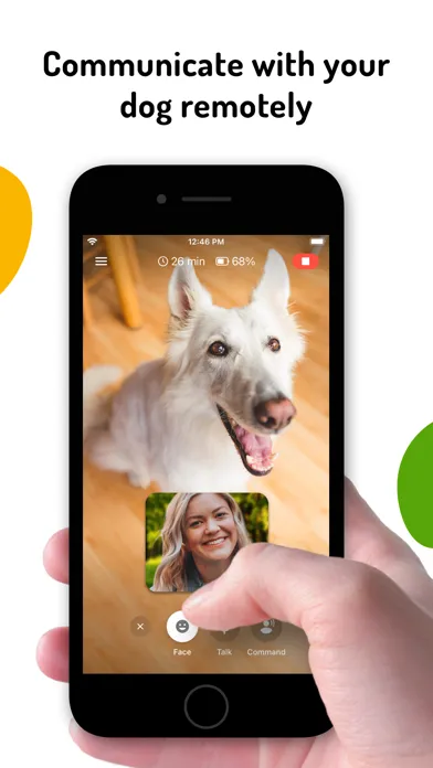 Скриншоты Barkio: Dog Monitor & Pet Cam