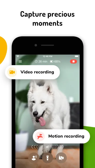 Скриншоты Barkio: Dog Monitor & Pet Cam
