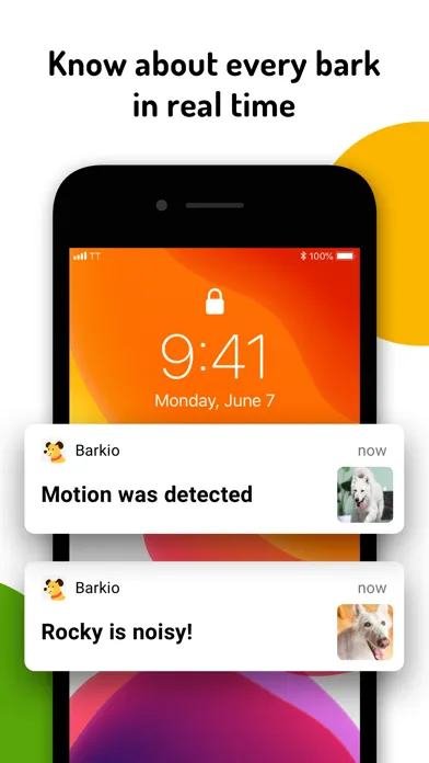 Скриншоты Barkio: Dog Monitor & Pet Cam