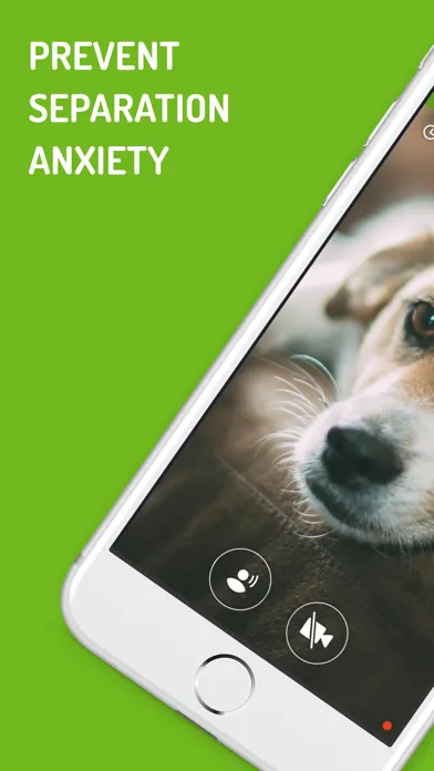 Dog Monitor Ekran Görüntüleri