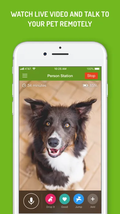 Dog Monitor Ekran Görüntüleri