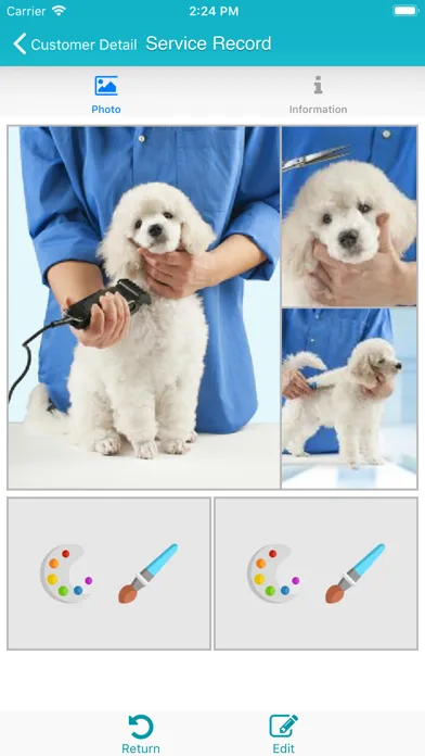 Tangkapan skrin TapGroom - Pet Grooming Salon