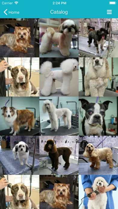 Tangkapan skrin TapGroom - Pet Grooming Salon