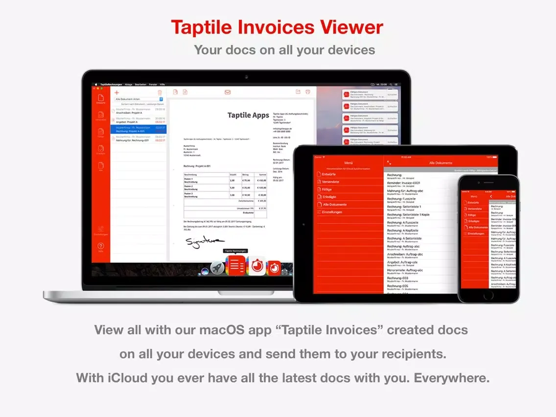 Taptile Invoices Viewer iPad  Screenshots