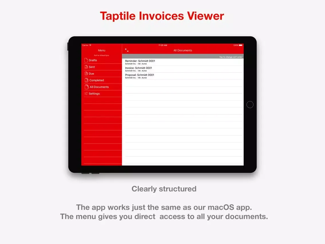 Taptile Invoices Viewer iPad  Screenshots