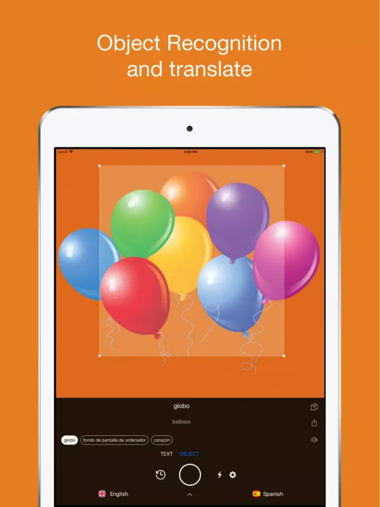 Tangkapan skrin Tap & Live Translate iPad 