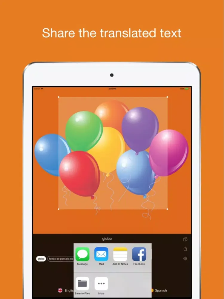 Tangkapan skrin Tap & Live Translate iPad 