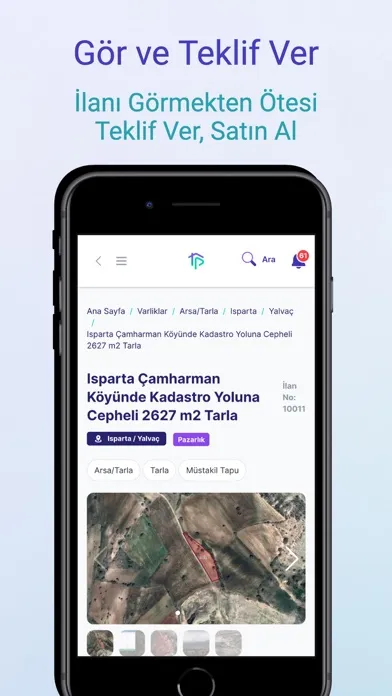 Скриншоты Tapu Pazar