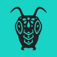 Locust Cider Locust Cider