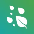 Smart Scout