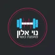 נוי אלון