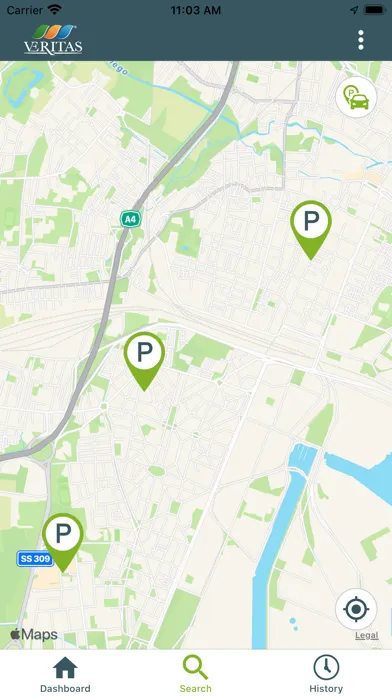 Скриншоты Veritas Car Sharing