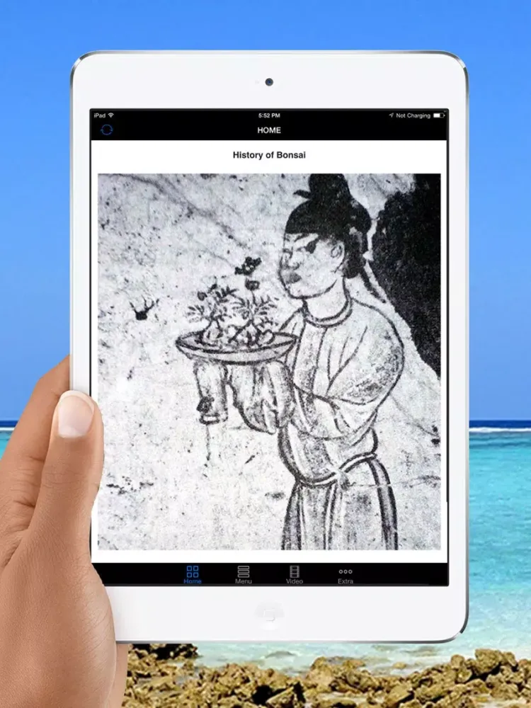 Easy Bonsai Tree For beginners - Best How To Grow Bonzai Plants Tips & Care Instruction UCC Videos, Start Today! iPad  Screenshots