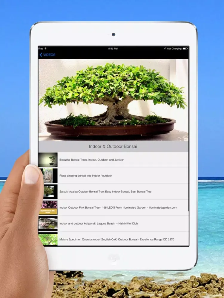 Easy Bonsai Tree For beginners - Best How To Grow Bonzai Plants Tips & Care Instruction UCC Videos, Start Today! iPad  Screenshots