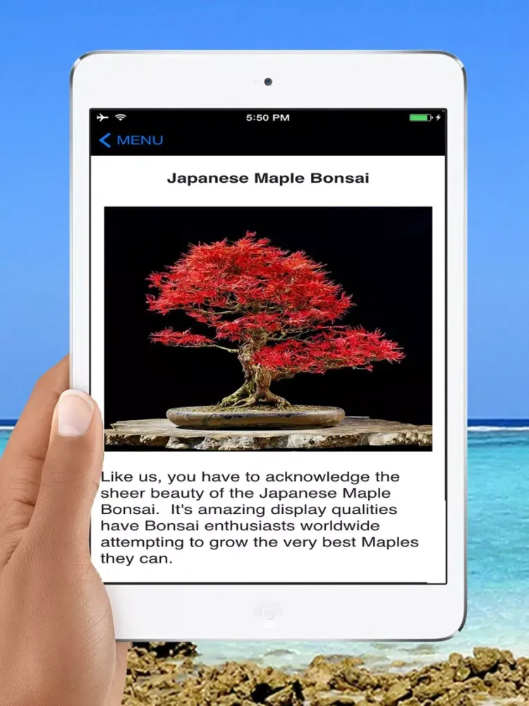 Easy Bonsai Tree For beginners - Best How To Grow Bonzai Plants Tips & Care Instruction UCC Videos, Start Today! iPad  Screenshots