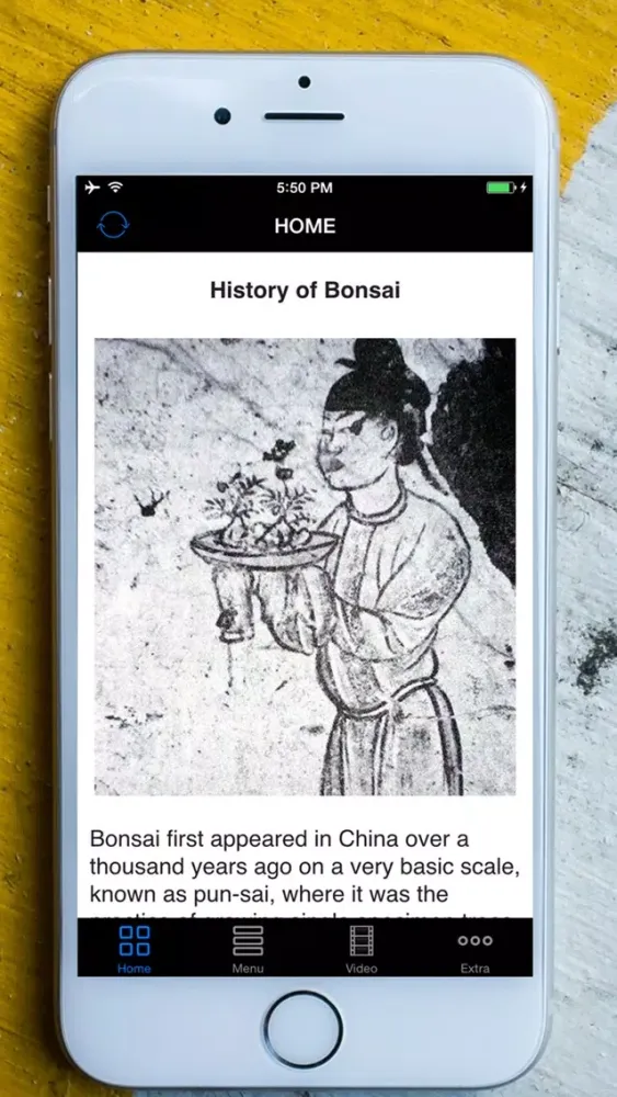 Easy Bonsai Tree For beginners - Best How To Grow Bonzai Plants Tips & Care Instruction UCC Videos, Start Today! Screenshots
